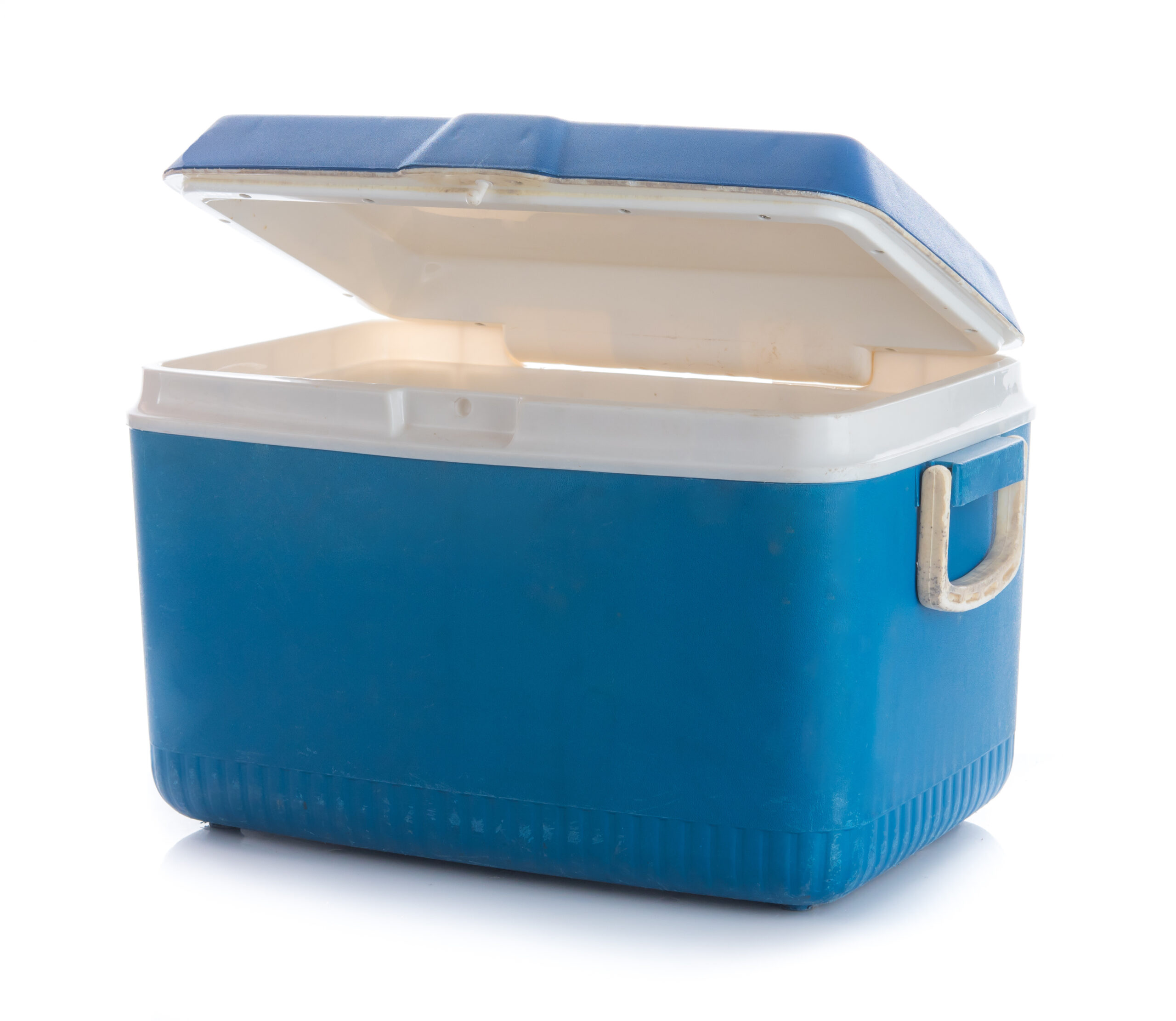 ネット購入で失敗しないための「ショップ選び」と「手入れ」の知識のアイキャッチ画像